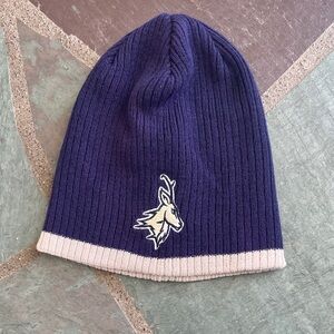 NWOT Navy and Cream Beanie with Logo